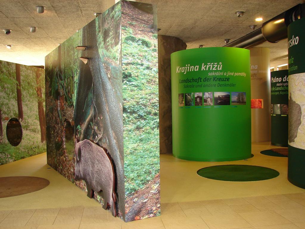 Apartmán - Dům Českého Švýcarska Krásná Lípa Exterior foto